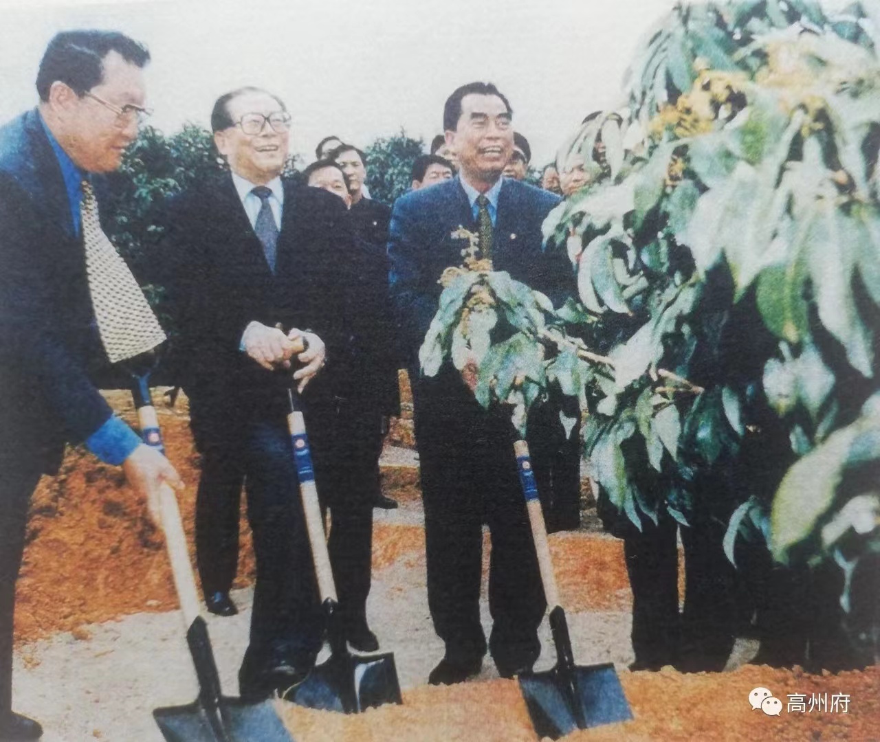 星空体育真人(中国)官方网站电保-中国荔枝博物馆智慧用电改造